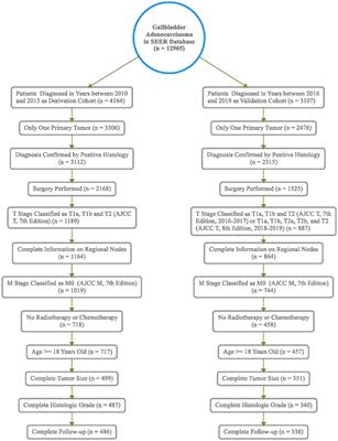 Development and validation of an online dynamic prognostic nomogram for incidental gallbladder adenocarcinoma patients without distant metastasis after surgery: a population-based study